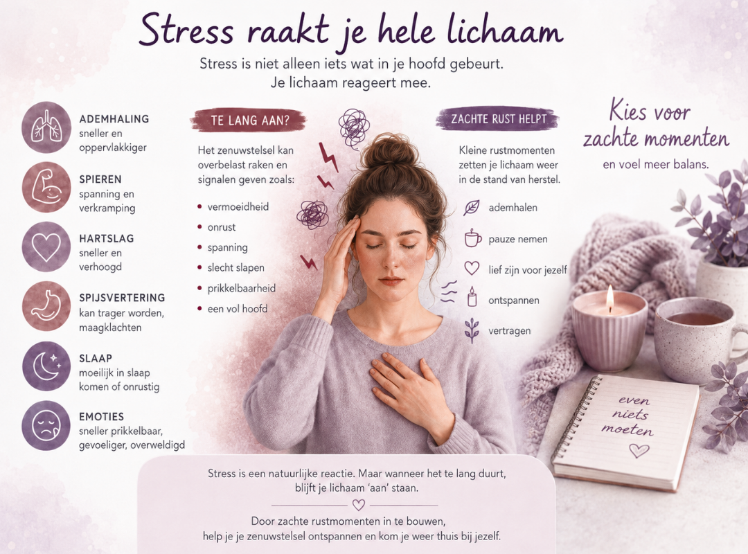 Een afbeelding met signalen die stress laten herkennen, hoge ademhaling, spanning in de spieren, snellere hartslag. Alle signalen staan in de tekst op deze pagina verder beschreven.